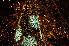 fot-Konrad-Czapracki-023