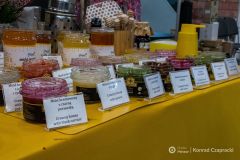 fot-Konrad-Czapracki-019