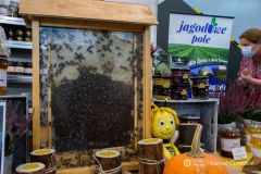 fot-Konrad-Czapracki-020