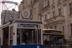 fot.-Eliza-Hajdenrajch-1