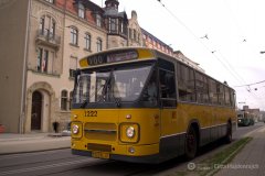 fot.-Eliza-Hajdenrajch-2