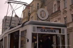 fot.-Eliza-Hajdenrajch-3