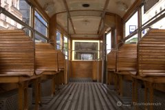 fot.-Eliza-Hajdenrajch-5