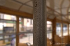 fot.-Eliza-Hajdenrajch-6