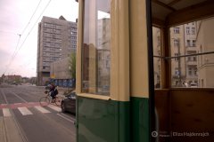 fot.-Eliza-Hajdenrajch-7