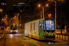 fot-Konrad-Czapracki-013