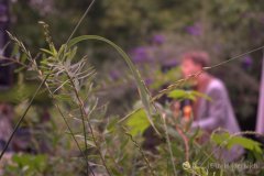 fot.-Eliza-Hajdenrajch-24