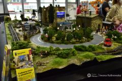 17fot-Iwona-Kalinowska-015