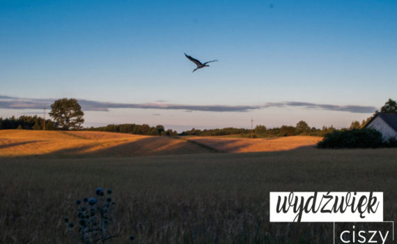 fot. Małgorzata Orechwo – Wydźwięk Ciszy, Polska