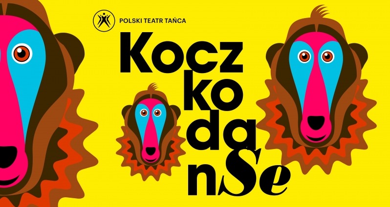 Plakat spektaklu KoczkodanSe dla dzieci