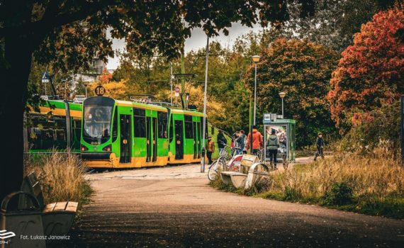 tramwaje na przystanku os. Tysiąclecia