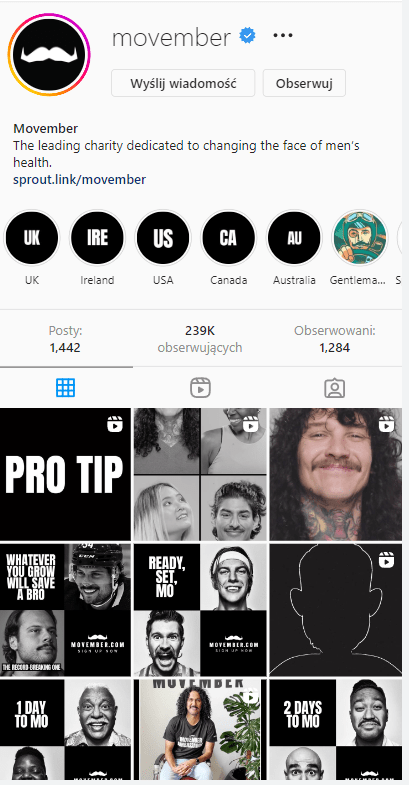 Screen Instagramowego profilu wydarzenia jakim jest Movember